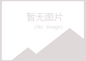 伊春新青盼夏能源有限公司